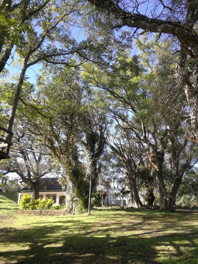 Le Arc Manor House Leilighet Franschhoek Eksteriør bilde